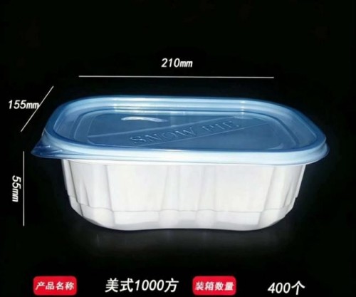 Transparent cubic container