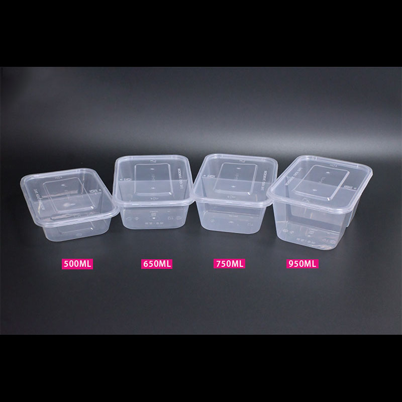 Doppelschichtige quadratische Lunchbox aus PP